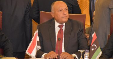 وزير الخارجية: الشعب الفلسطينى يستحق نيل حقوقه المشروعة