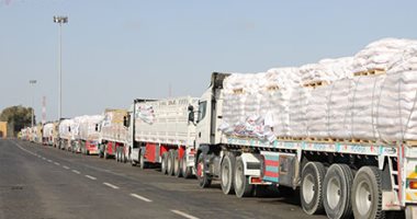 متحدث صندوق تحيا مصر: تجهيز قافلة ثالثة لأشقائنا بغزة تضم 700 طن مواد غذائية