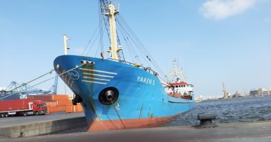 هيئة ميناء الإسكندرية: تزايد ملحوظ فى حركة السفن وتداول البضائع يناير الماضى