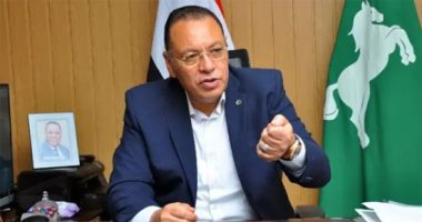 تعرف على نسب تنفيذ أعمال إنشاء موزعات كهرباء بالزقازيق وأبو حماد بالشرقية تعرف على نسب تنفيذ أعمال إنشاء موزعات كهرباء بالزقازيق وأبو حماد بالشرقية