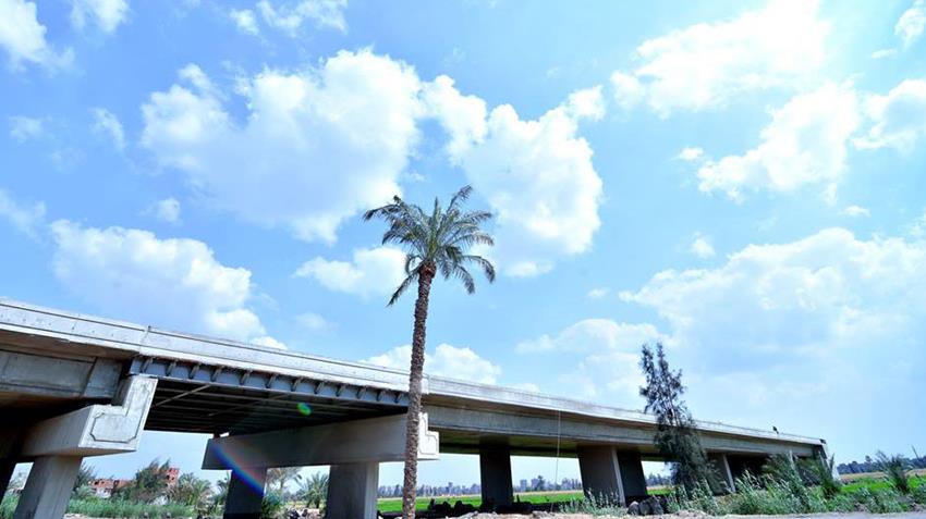 كوبري الفريق صلاح حلبي