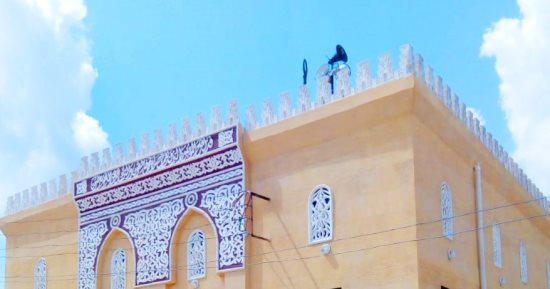 مسجد ابو مصطفي بعزبة المقرحي