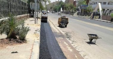 رصف شوارع الحدادين وشرق البندر والشواربى الجديد بمدينة أسوان