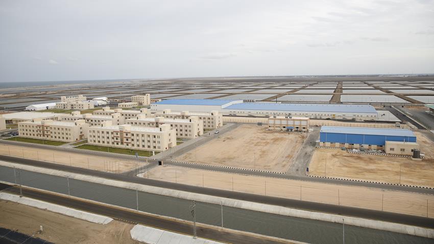 إنشاء المزارع السمكية  بركة غليون بمحافظة كفر الشيخ