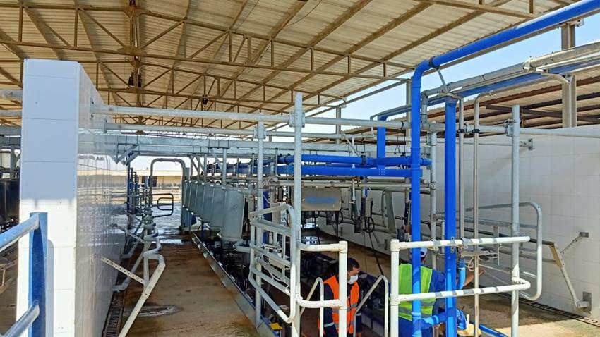 محطة الإنتاج الحيواني لتصنيع الألبان بالنوبارية بمحافظة البحيرة