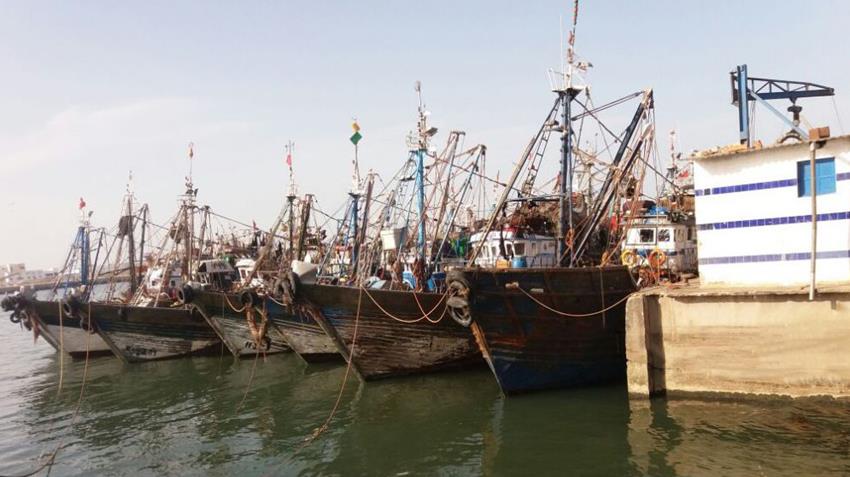تدشين 12 سفينة صيد ضمن أسطول الصيد للشباب