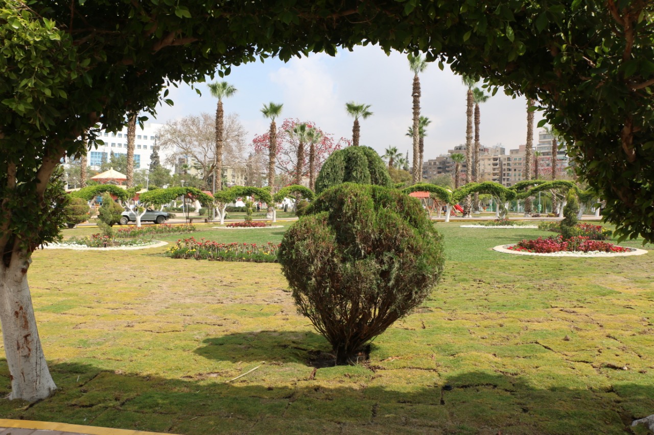 تطور حديقة الطفل بمدينة نصر