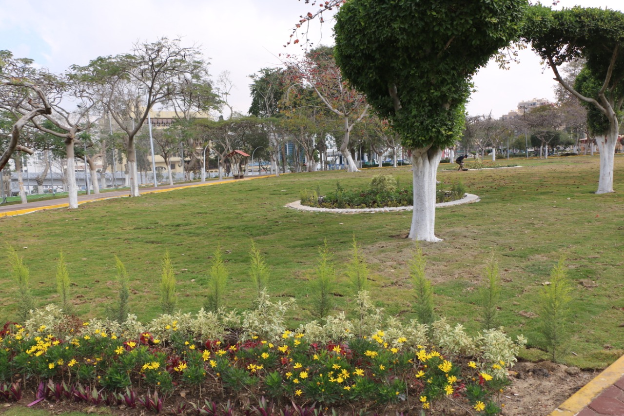 تطور حديقة الطفل بمدينة نصر
