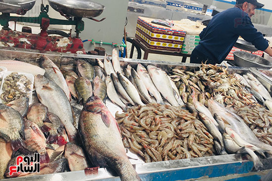 سوق الأسماك المطور بالإسماعيلية