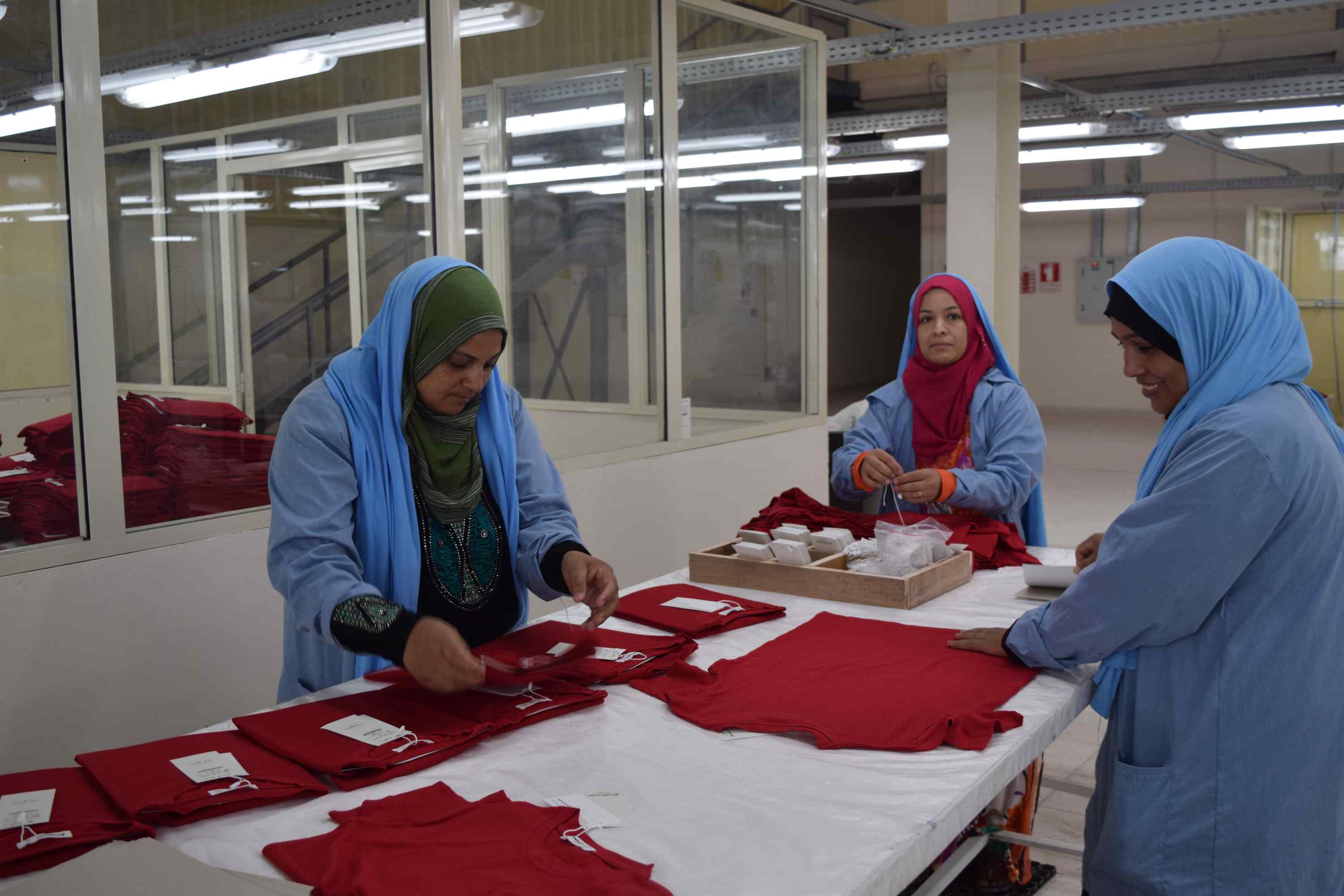 مصنع ملابس المنيا